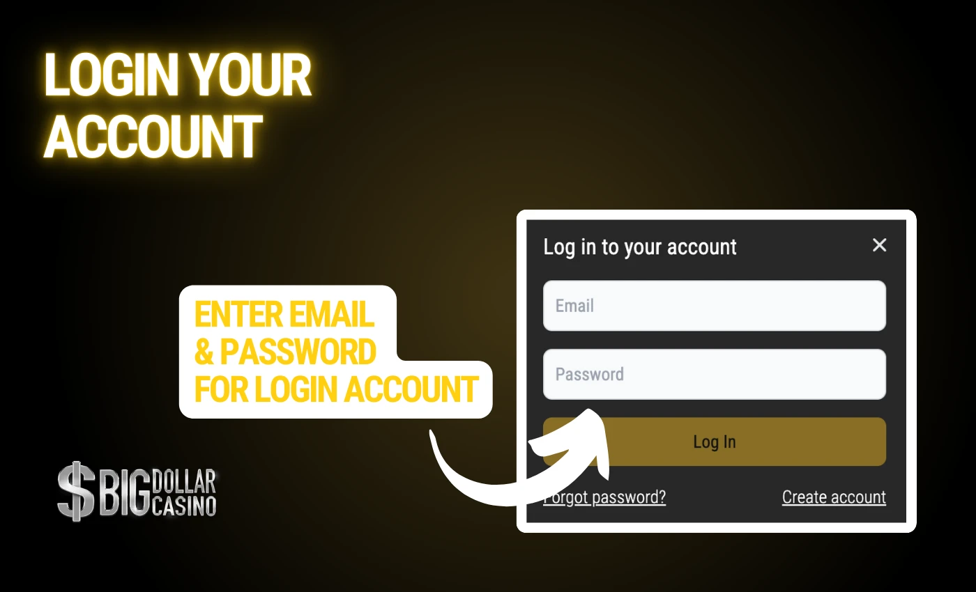 Enter Email & Password For Login Account at big dollar casino