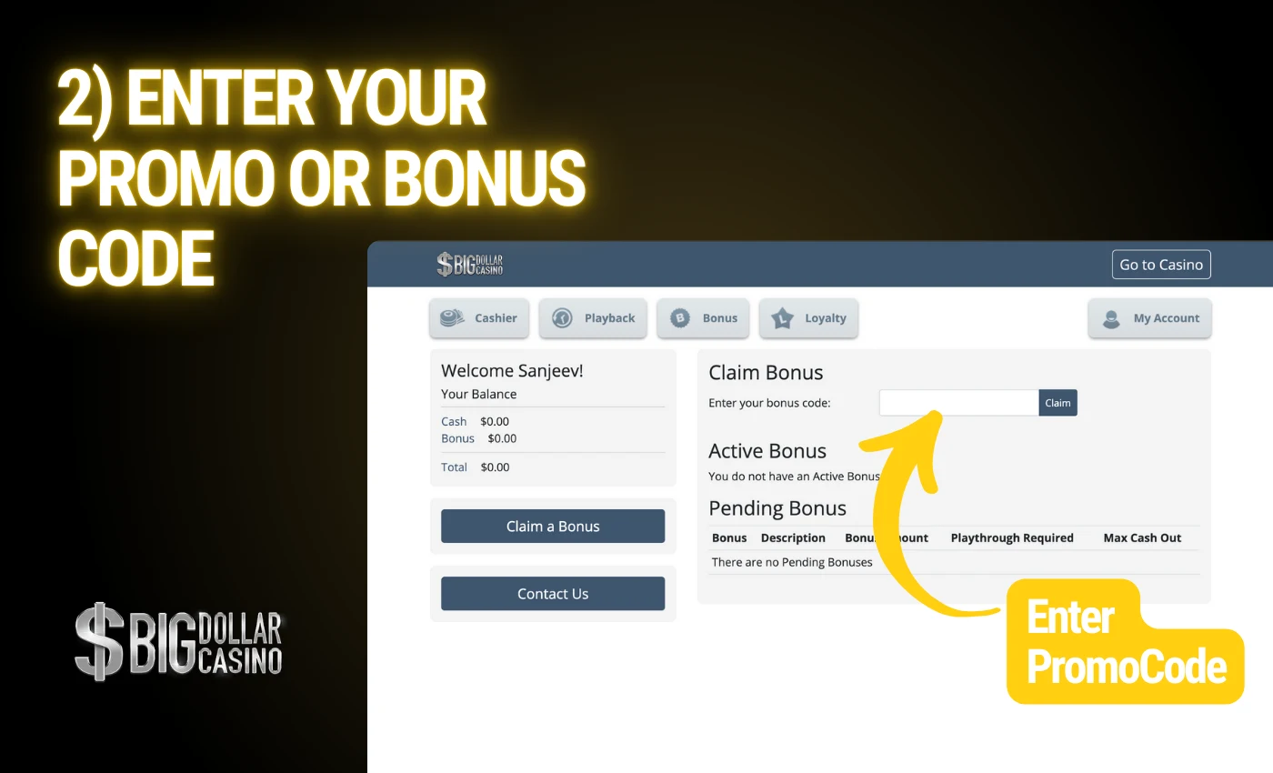 enter your promo or bonus code at big dollar casino