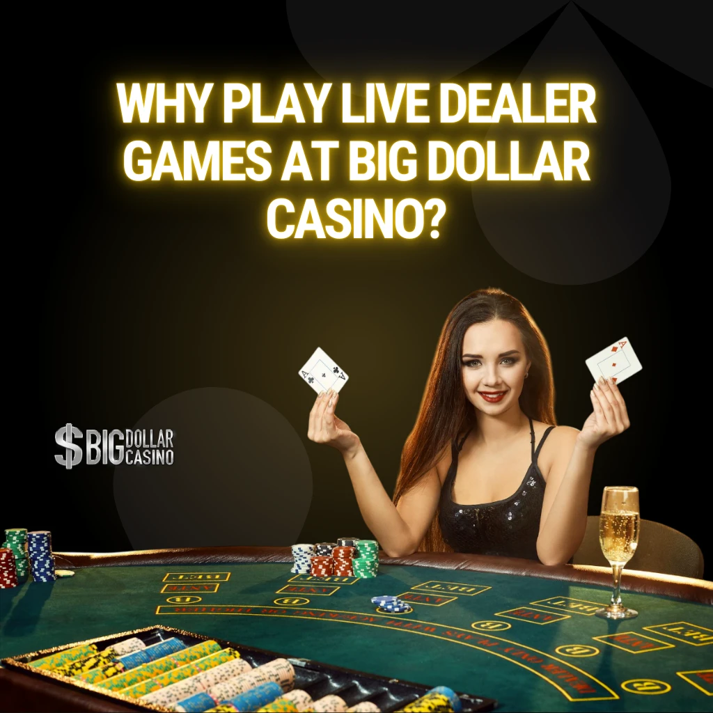 Why Play Live Dealer Games at Big Dollar Casino?